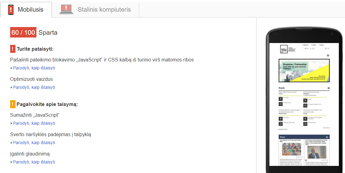 Google svetainės greičio įvertinimo pavyzdy