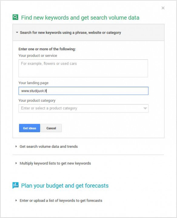 Keyword planner paieškos langas