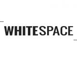 Baltų plotų (whitespace) panaudojimas