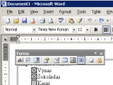 Ms Word. Kaip sukurti ir redaguoti formas?