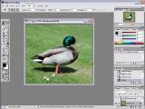 Adobe Photoshop. Efektų kūrimas 8 pamoka