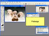 Adobe Photoshop. Vektorines figuros