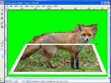 3D atvaizdo efektas, naudojant Gimp. Objekto 'isejimas' is paveikslelio