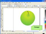 CorelDraw. Tikroviško obuolio piešimas