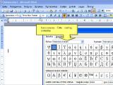 MS Word. Simbolio įterpimas