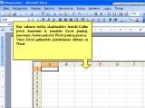 MS Word. Skaičiuoklės lentelės įkėlimas naudojant Import/Object