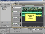 Adobe Audition. Kaip redaguoti video failus?