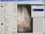 Adobe Photoshop. Kaip nesunkiai pakeisti plaukų spalvą nuotraukoje?