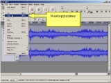 Audacity. Kaip garso takelį padarinti į dvi dalis?