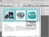 Adobe InDesign. Permatomumas