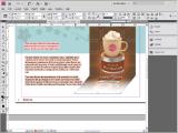 Adobe InDesign. Veidrodinis atspindys