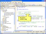 Duomenų bazės procedūrų kūrimas su MSSQL