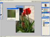Adobe Photoshop - Nuotraukų montažas naudojant filtrus