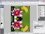 Adobe Photoship CS3 Extended. Atspindžio vandenyje kūrimas I dalis
