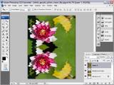 Adobe Photoship CS3 Extended. Atspindžio vandenyje kūrimas II dalis