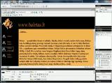 Macromedia Dreamweaver. Puslapių sąsaja