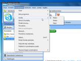 Skype. Meniu 