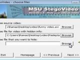 Įdomios programos: MSU stegovideo