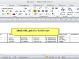 MS Word 2010 lentelės stulpelio pločio keitimas