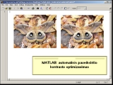 MatLab. Paveikslėlio kontrasto optimizavimas