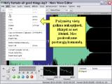 Nero Wave Editor. Dainu ikelimas