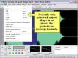 Nero Wave Editor. Dainu ikelimas