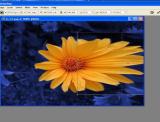 Adobe Photoshop. ištemptas vaizdas