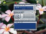 grazus persijungimas is vienos dainos i kita su winamp