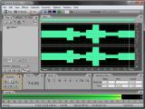 Adobe Audition. Amplitudės keitimas