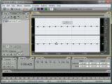 Adobe Audition. Snapping'as Edit View lange