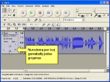Audacity. Supazindinimas su programos irankiais 1 dalis