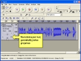 Audacity. Supazindinimas su programos irankiais 1 dalis