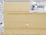 Adobe Photoshop. tonavimas sepija (senos nuotraukos efektas)