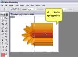 Adobe Photoshop. paveikselio srities istempimas