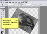 Adobe Photoshop. spalvotos nuotraukos keitimas i nespalvota ir jos pasukimas