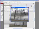 Macromedia Flash. Rukas su Flash CS3