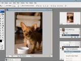 Adobe Photoshop. "Glamour" efektas nuotraukai