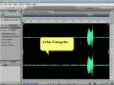 Adobe Soundbooth - garso įrašymas ir apdorojimas