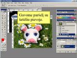 Adobe Photoshop. Šešėlio uždėjimas