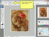 Adobe Photoshop. Paveikslo rėmas
