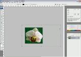 Nuotraukos atvirkštinis apkarpymas Adobe Photoshop programa
