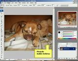 Nuotraukos matmenų mažinimas Adobe Photoshop programoje