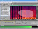 Adobe Audition laisvo žymėjimo įrankis